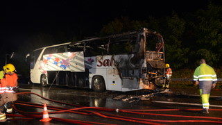 Rm camorino02102014 013 ridimensionare