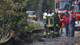 Rm brissago1410 04 ridimensionare