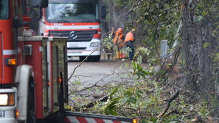 Rm brissago1410 07 ridimensionare