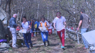 Rm nivo1304 02