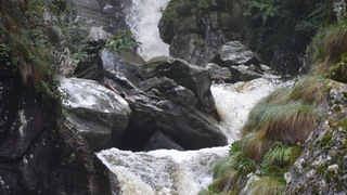 Rm valle maggia 11.08.2019 %2824%29
