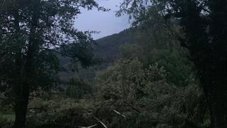 1dfae627 5f9c 4ee8 bbb2 469b69883452
