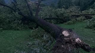 B2363659 ec86 40e1 8322 27678455ce7c