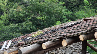 Dsc 0036