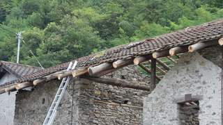 Dsc 0039