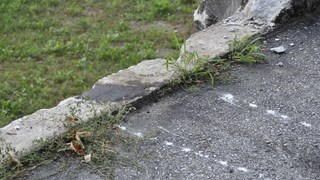  dsc0525