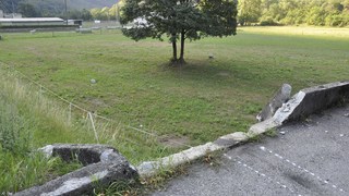  dsc0526
