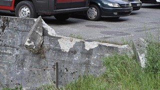  dsc0529