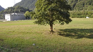 dsc0533