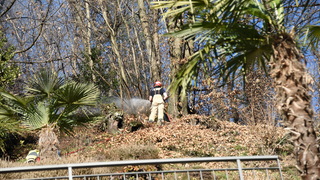 Rm castelrotto 14.01.2022 %2837%29 ridimensiona