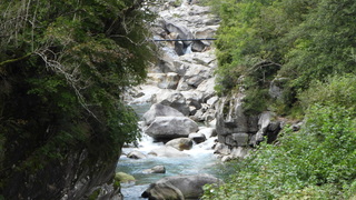 Ccc07d00 6d02 4c7b 98cd b76492ff0f23