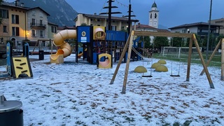 Img 7066