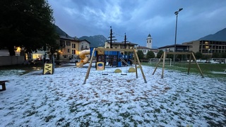 Img 7067