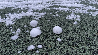 Img 7069