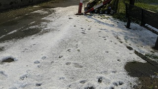 Img 7071
