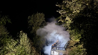 Img 1352
