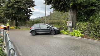 Img 7590