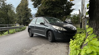 Img 7591