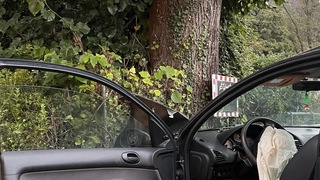 Img 7593