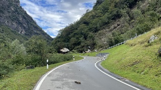 Img 1455