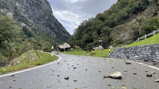 Img 1461