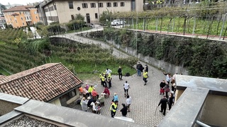 Img 7871