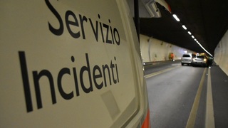 Img 0234