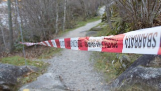 Img 0273