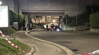 Img 8582