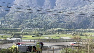 Img 6109