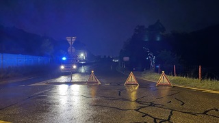 Img 9136
