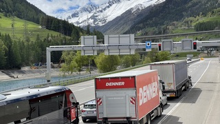 Img 6873