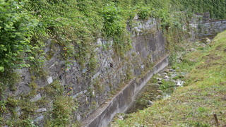 Dsc 0094