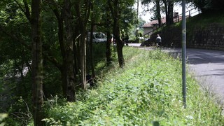 Rm odogno 03062024 02 copy