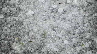 Img 9001