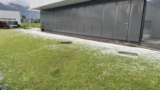 Img 8998