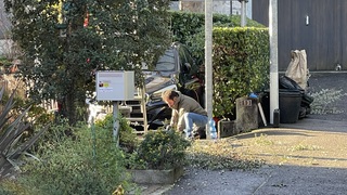 Img 0435