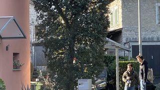 Img 0438