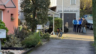 Img 0441