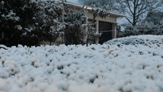 Dsc 0012