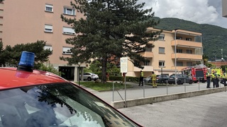 Img 8560