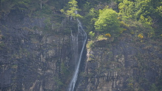Dsc 0010