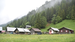 Dsc 0013