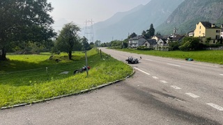 Img 1334