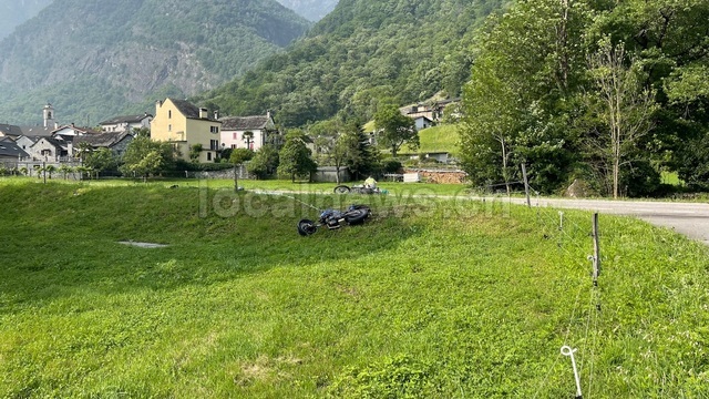 Img 1337