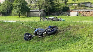 Img 1339