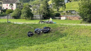 Img 1338