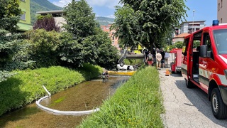 Img 1372