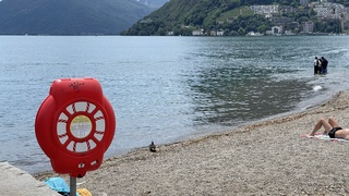 Img 1514