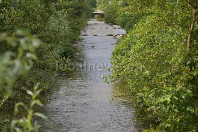 Dsc 0059